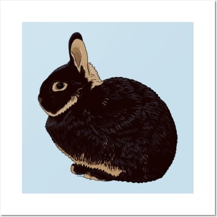 Netherland Dwarf Rabbit Posters and Art